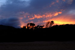 couche soleil tasman